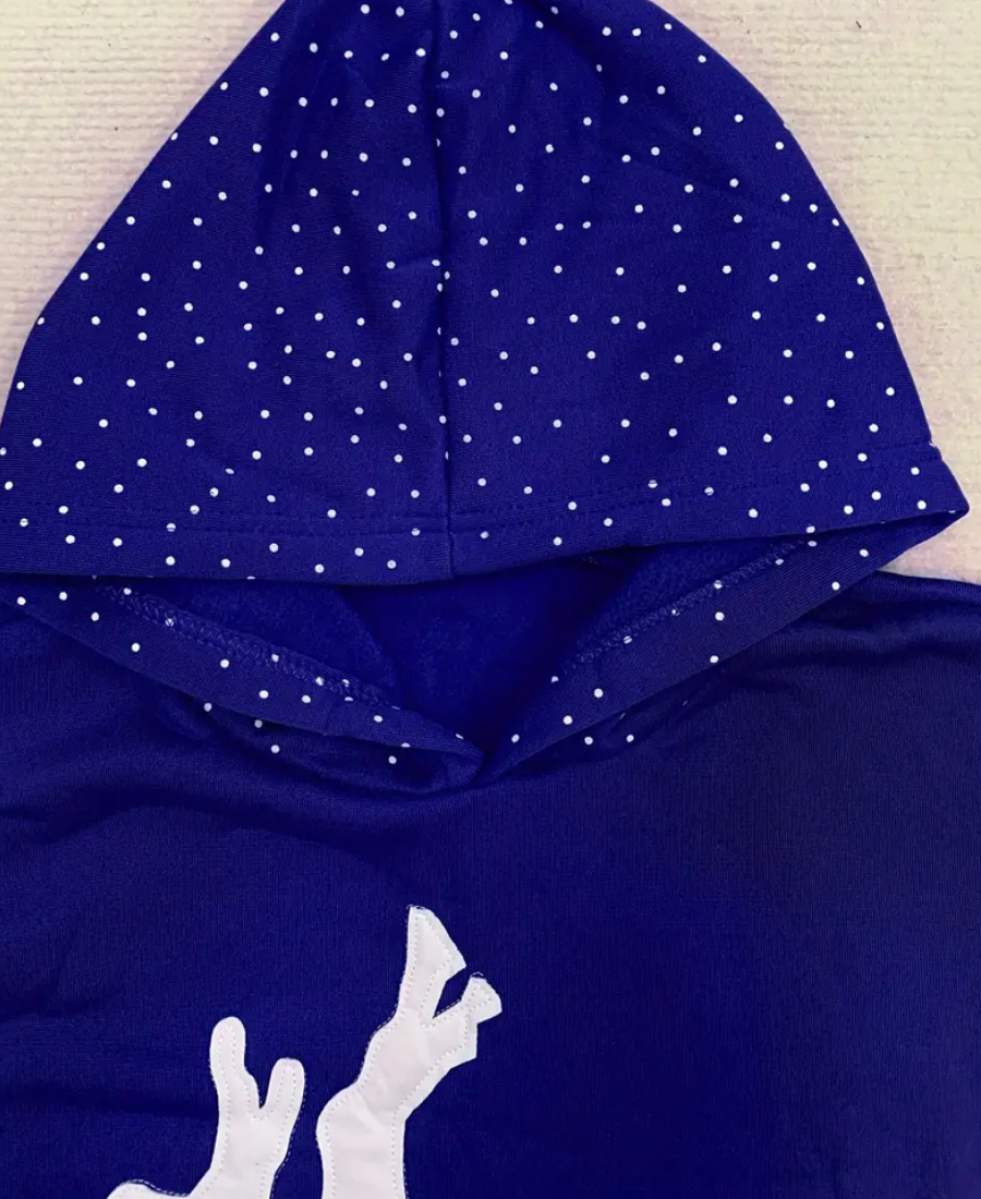 Fallen Desire Sweatshirt